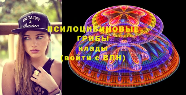 СК Вяземский