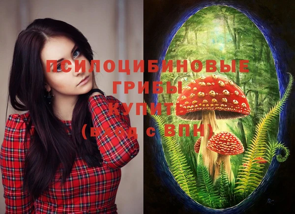 СК Вяземский