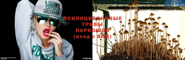 СК Вяземский