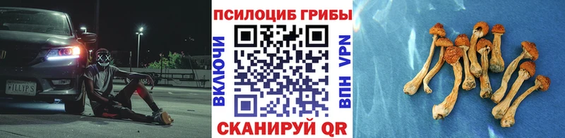 Галлюциногенные грибы ЛСД  где можно купить   мориарти клад  Истра 